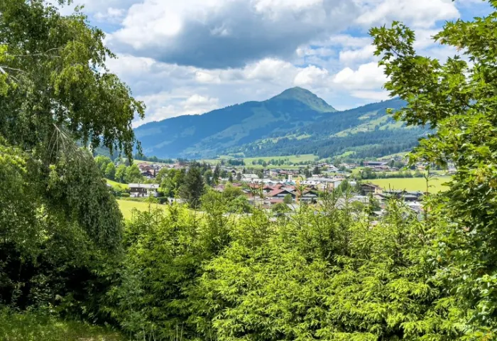 AUSBLICK